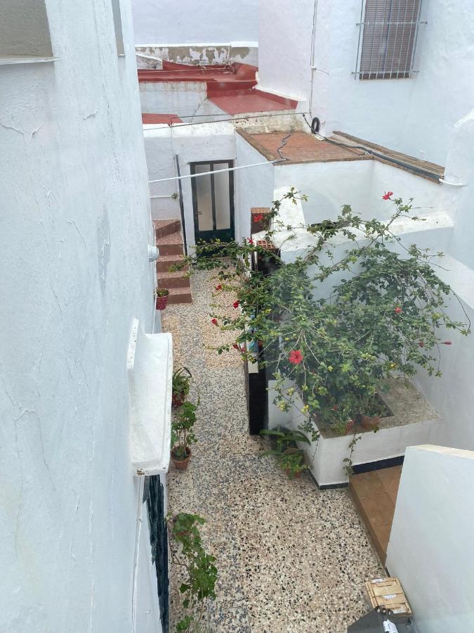 Conil Homes V Apartment
